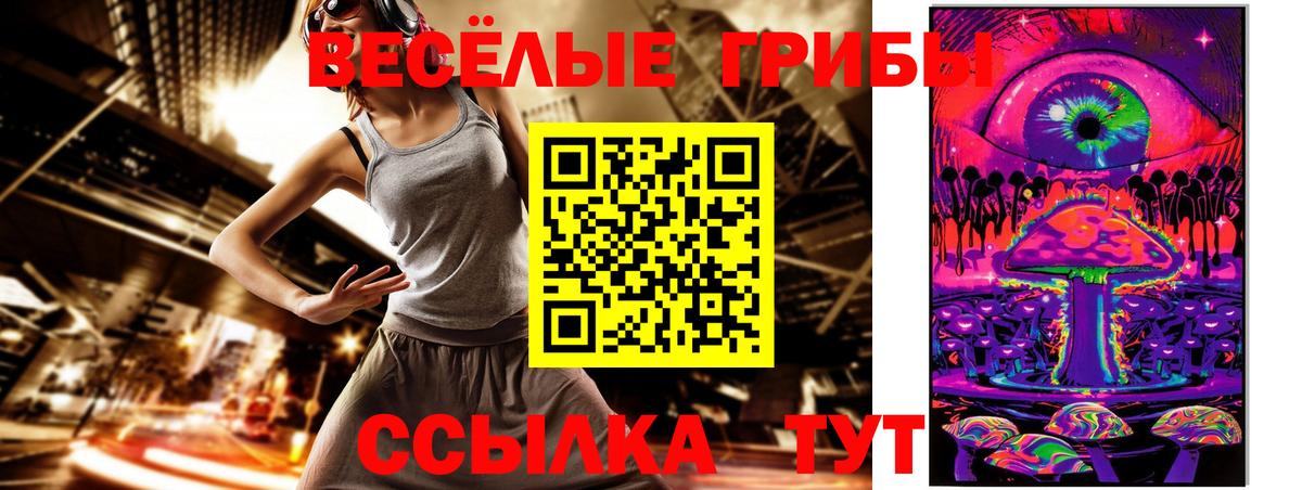 Галлюциногенные грибы Psilocybe  Вход с VPN  Балашов  Галлюциногенные грибы мухоморы 